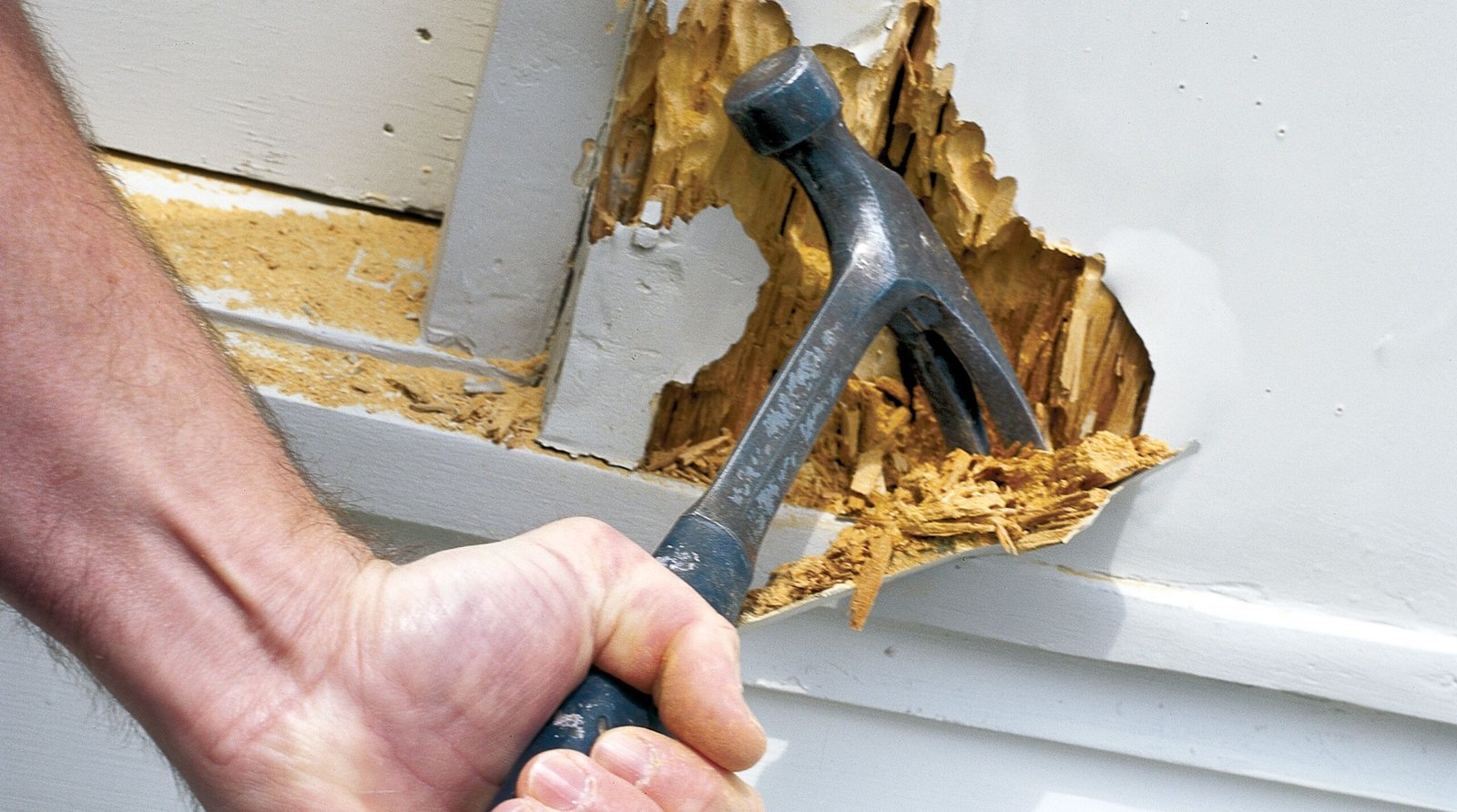 Residential Wood Repair Services