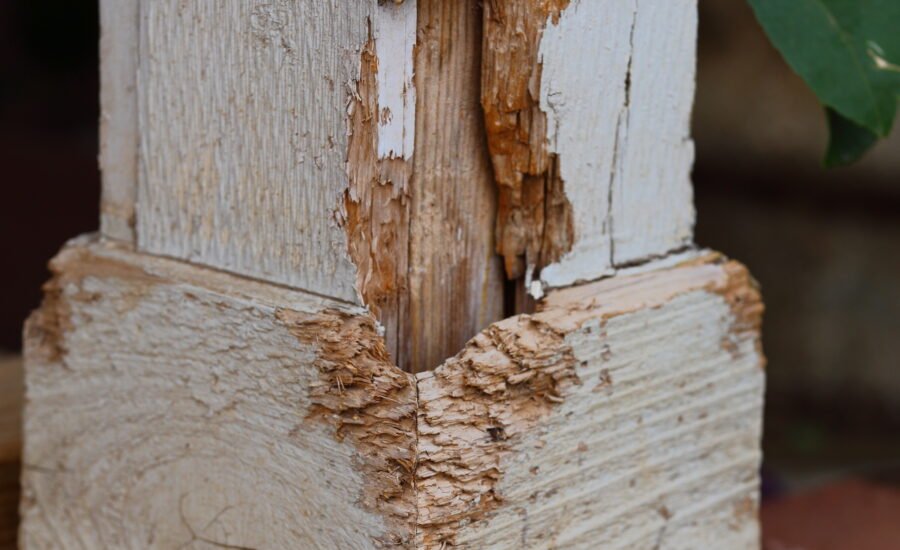 Wood Rot Repair Services