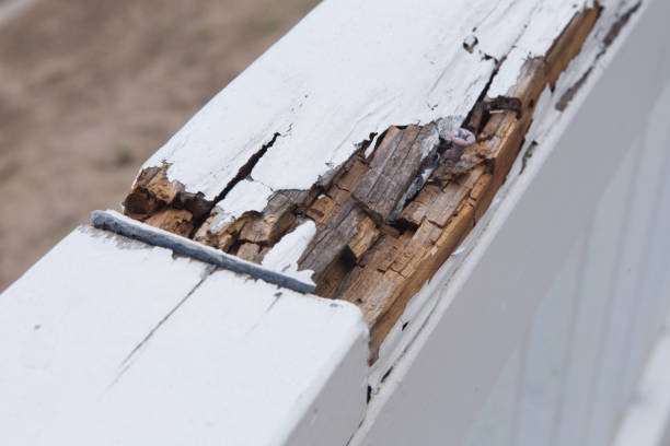 Wood Rot Repair Services