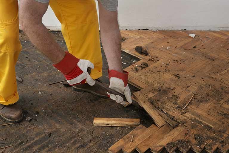Comprehensive Wood Damage Restoration Services