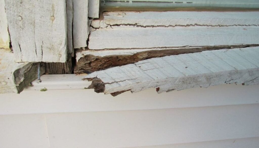 Exterior Wood Repair and Maintenance