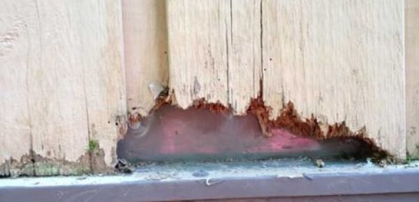 Wood Restoration and Replacement