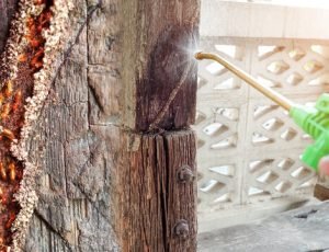Termite-Damaged Wood Repair Services