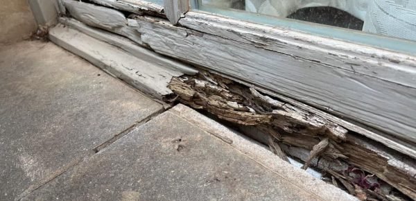 Expert Wood Damage Restoration Solutions