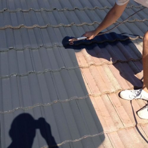 Painting in Yorba Linda (9)