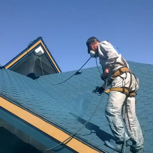 Roof Painting 12_11zon