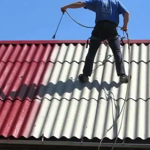 Roof Painting 24_11zon