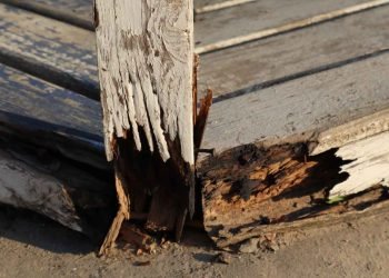 Wood Damage & Dry Rot Repair 13_11zon