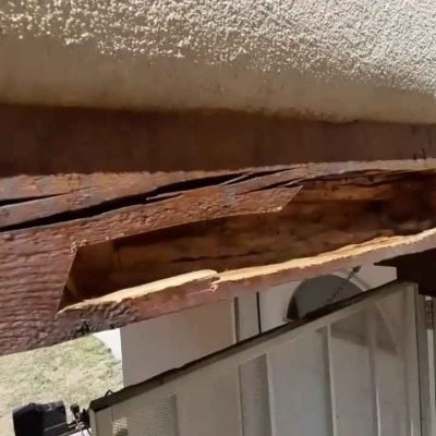 Wood Damage & Dry Rot Repair 15_11zon