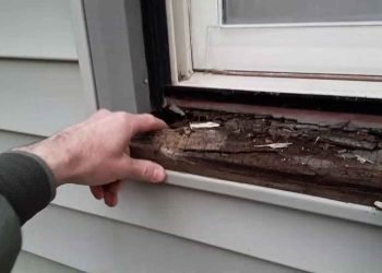 Wood Damage & Dry Rot Repair 17_11zon