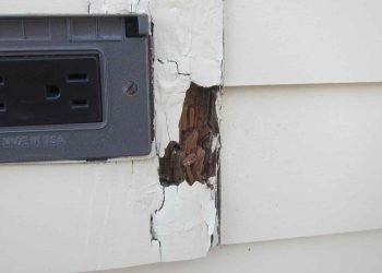 Wood Damage & Dry Rot Repair 18_11zon