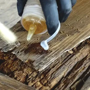 Wood Damage & Dry Rot Repair 1_11zon