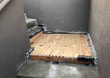 Wood Damage & Dry Rot Repair 22_11zon