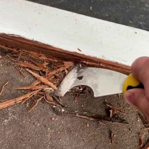 Wood Damage & Dry Rot Repair 5_11zon